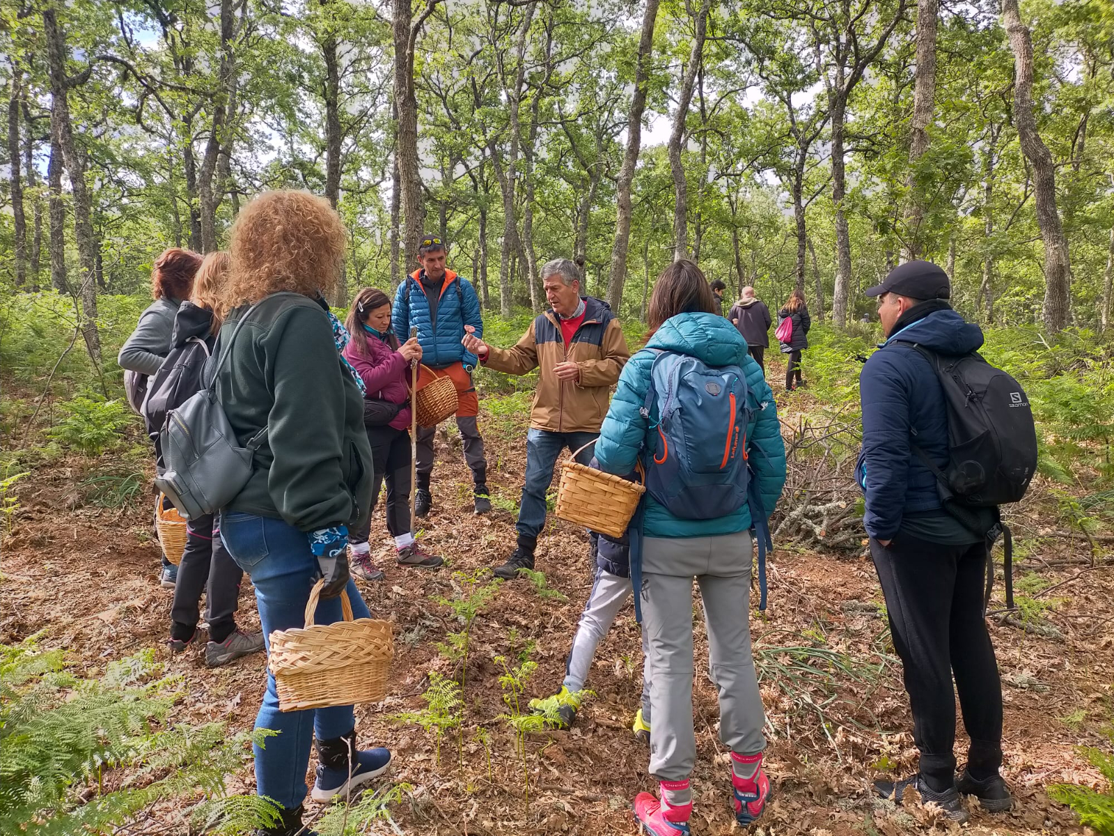 La provincia de Salamanca refuerza su apuesta por el micoturismo con seis rutas señalizadas
