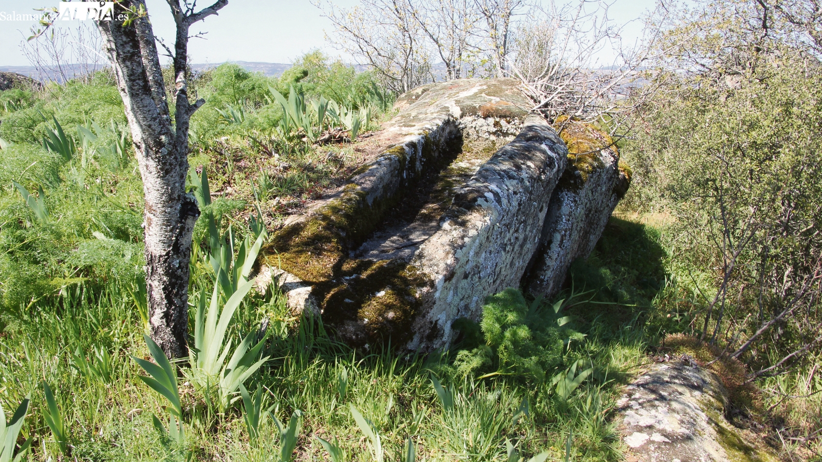  La Casa del Parque Arribes en Sobradillo acoge dos charlas académicas sobre ganadería y arqueología medieval