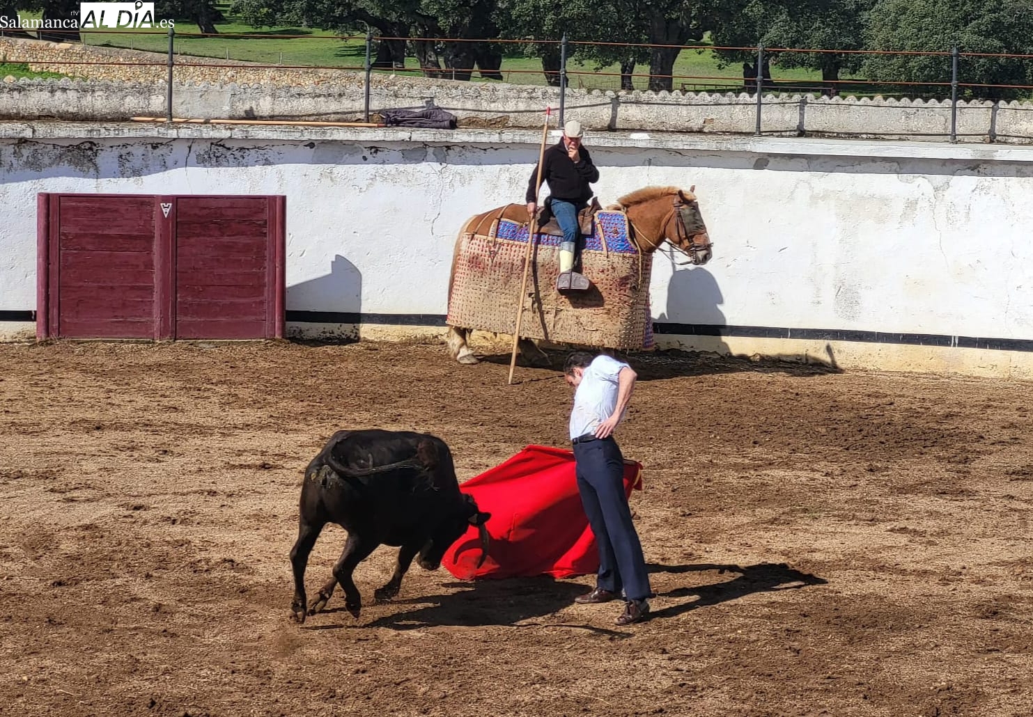 Damián Castaño vuelve a torear