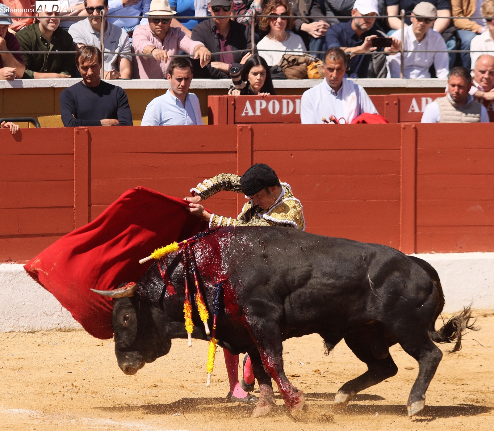 Damián Castaño, un gladiador sin espada