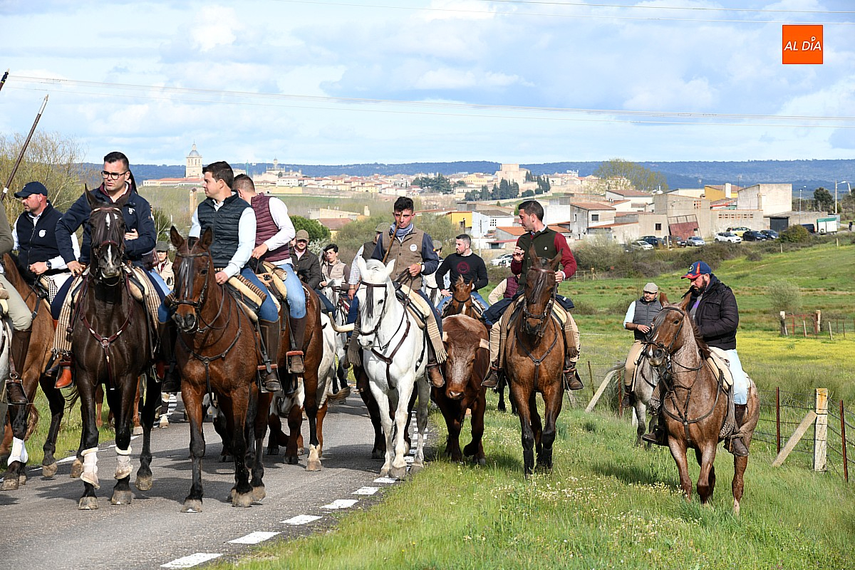 Conejera celebra sus fiestas con una exhibición de faenas de campo