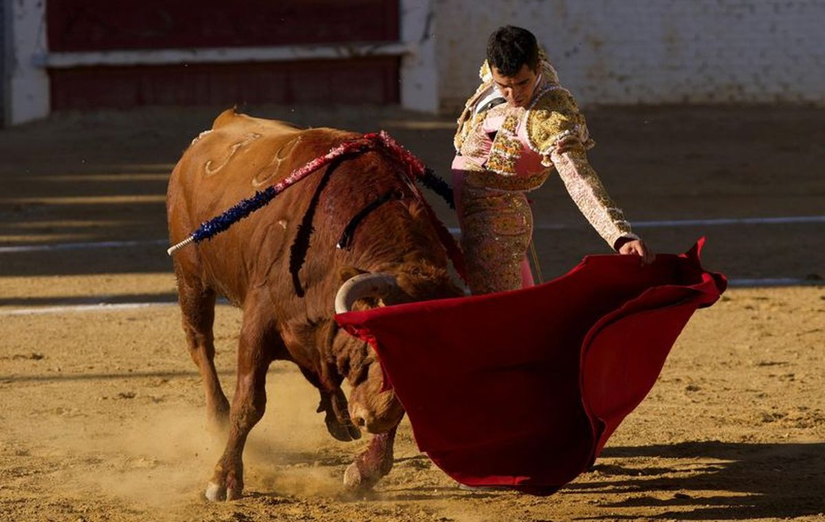 Fechas y sedes del Circuito de Novilladas de Castilla y León que tendrá un festejo en Cantalpino