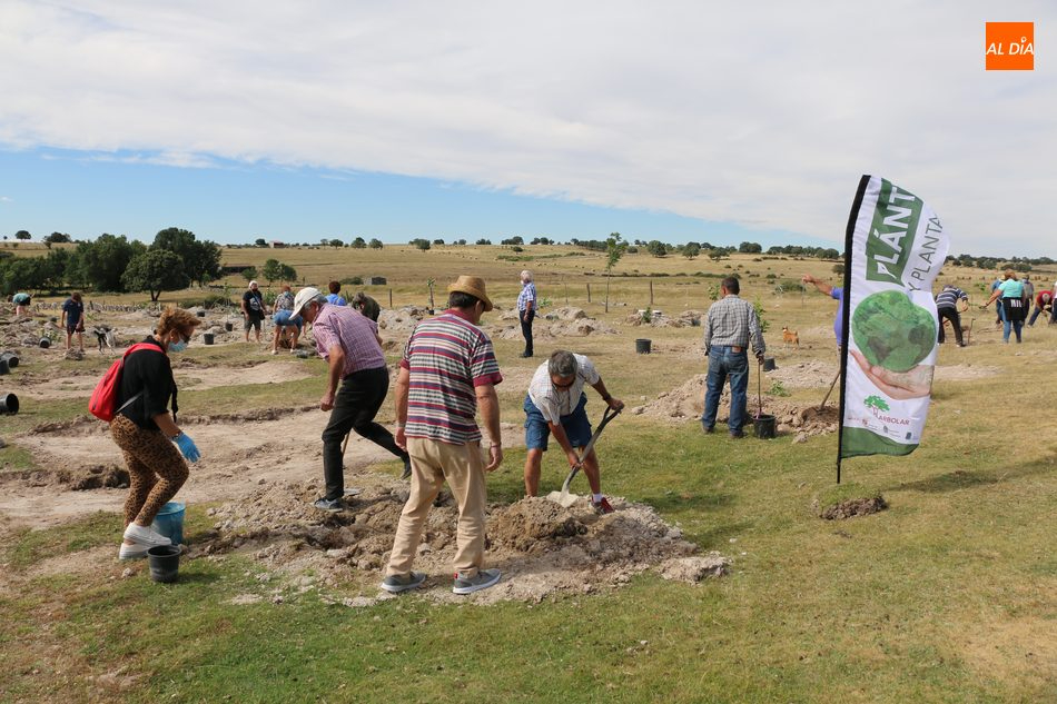 Vitigudino acogerá el Festival Ecológico ‘Arboleda: Raíces y Ritmo’
