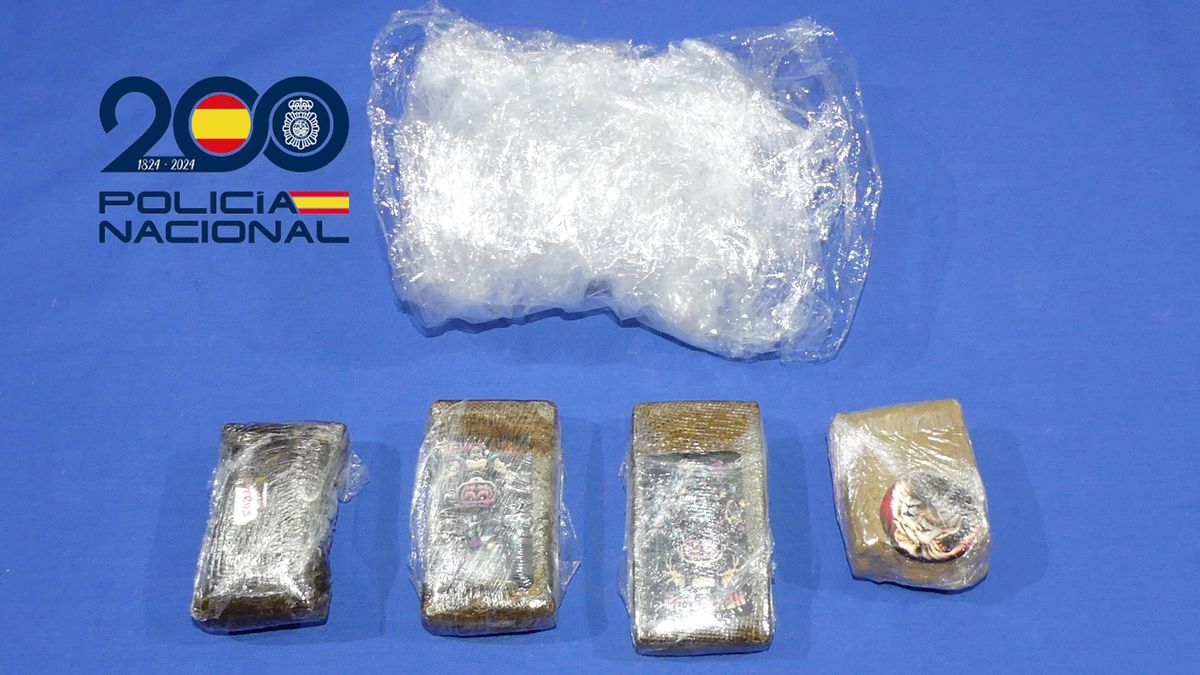 Detenido en la estación de tren de Salamanca con cuatro paquetes de hachís en una mochila