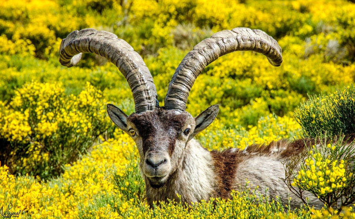 Sin preocupaciones financieras 