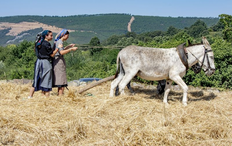 La Junta tramitará la Declaración como BIC de las Eras de Monsagro
