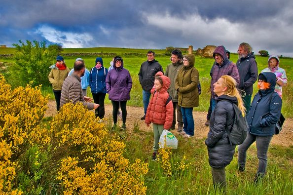 Itinerario y taller sobre plantas silvestres comestibles y medicinales el 26 de abril