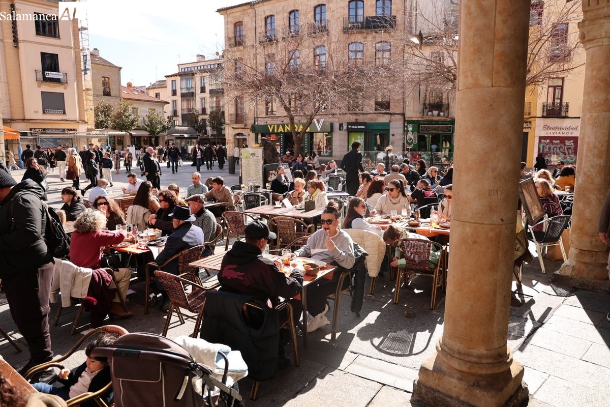 ¿Sabes cuántos bares, restaurantes y tiendas pequeñas hay en la provincia de Salamanca?