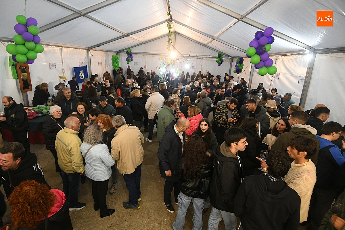 Vinos de pequeños productores del Campo de Argañán y la raya portuguesa exponen su cosecha forjada al modo tradicional