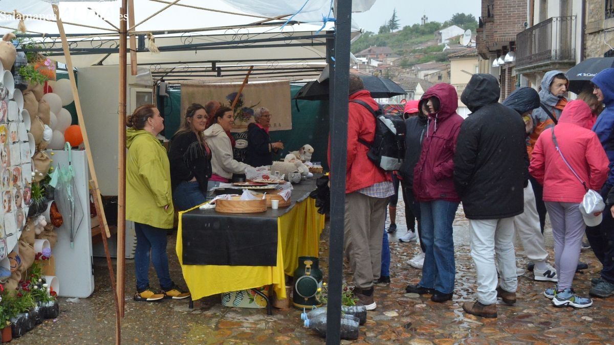 Hinojosa de Duero cierra la XXII Feria Internacional del Queso con balance positivo en ventas y público, a pesar del mal tiempo
