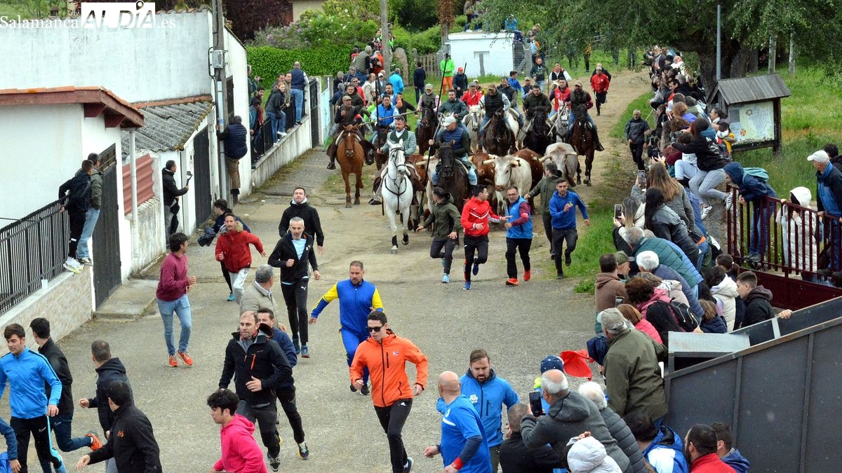 Intensa y animada jornada taurina en las fiestas de El Noveno de San Felices de los Gallegos