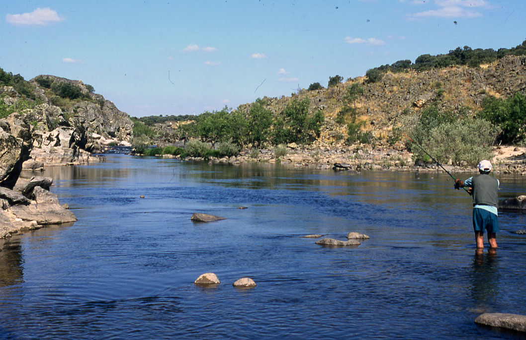Características específicas de los productos turístico 