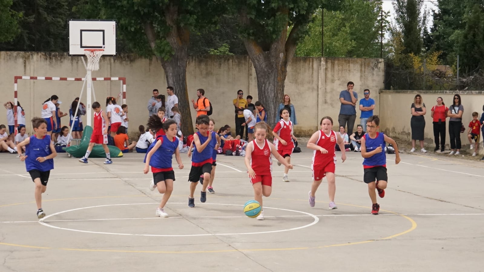 Santa Marta acoge este fin de semana el XIX Torneo de Baloncesto con 206 equipos y 2.000 jugadores