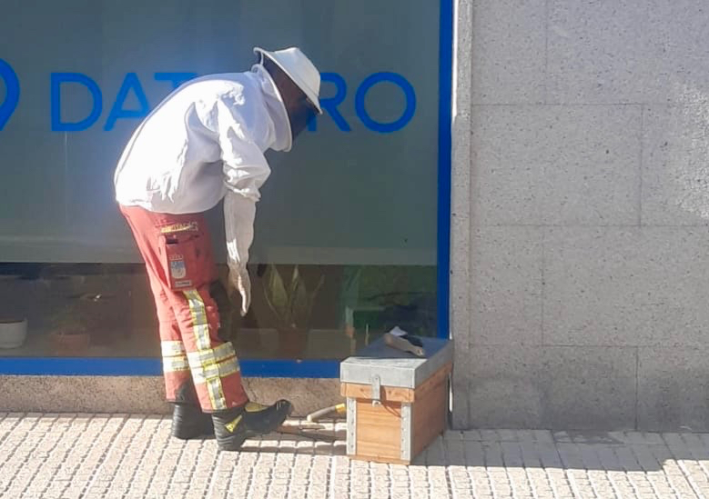 Efectivos de los bomberos retiran abejas en un escaparate en la calle Ricardo Soriano