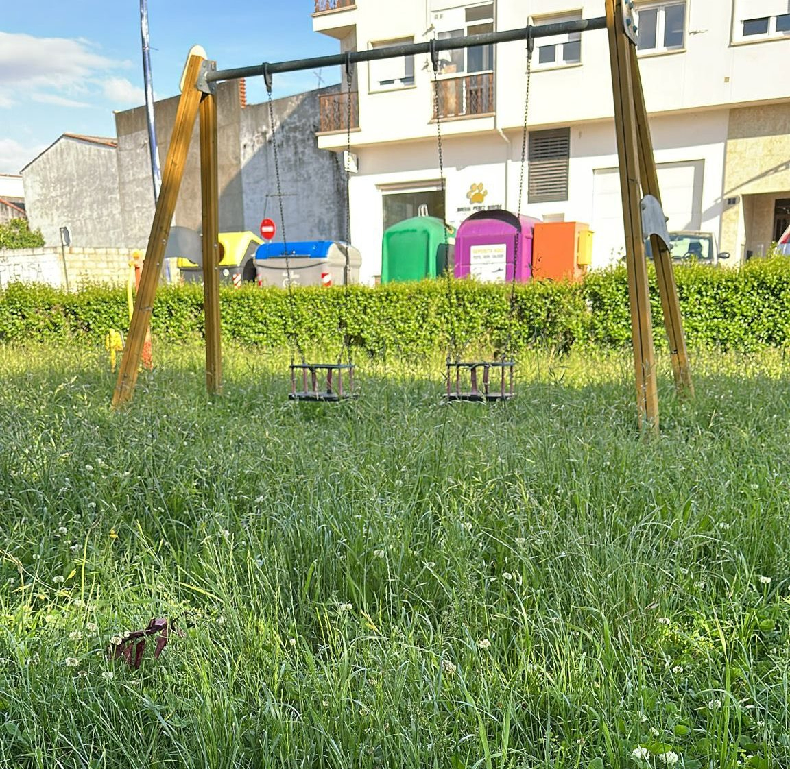 El PSOE denuncia plagas de insectos en el parque del Valle de San Martín
