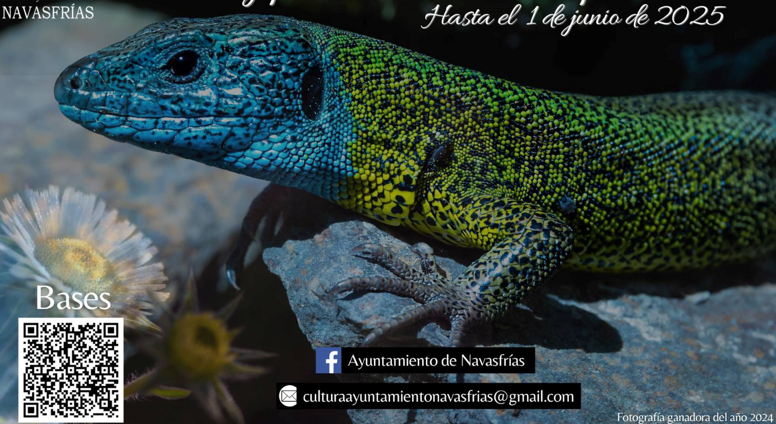 Navasfrías convoca el 2º Concurso de Fotografía ‘Fauna y Flora del Rebollar en primavera’