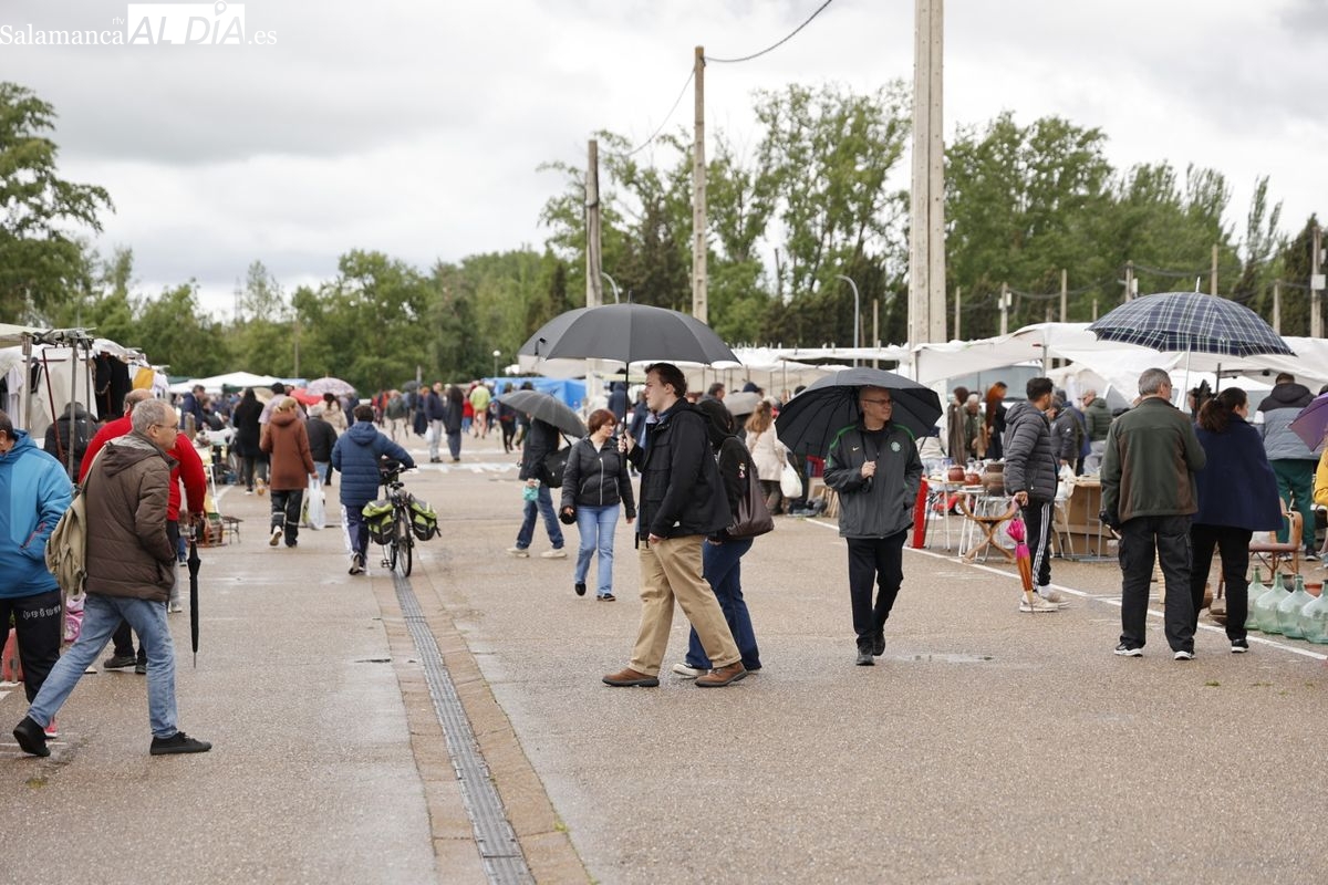 FOTOS | La lluvia desluce el Rastro de Salamanca