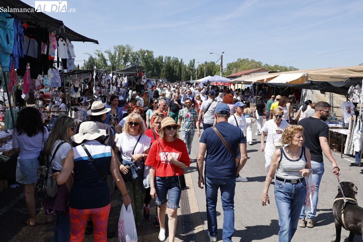 FOTOS | El sol anima el Rastro y la ribera del Tormes en una mañana de paseo, deporte y compras