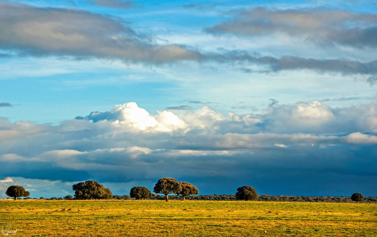 El cielo en la tierra 