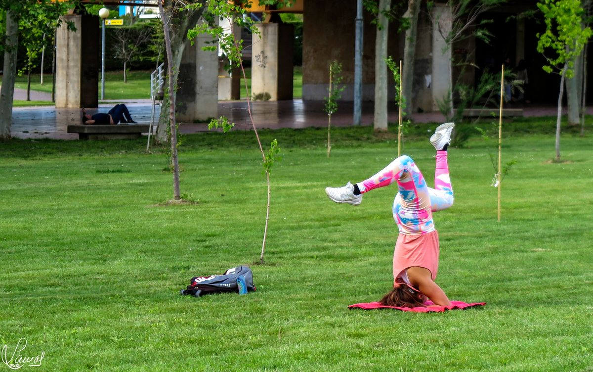 El poder de la mente equilibrada 