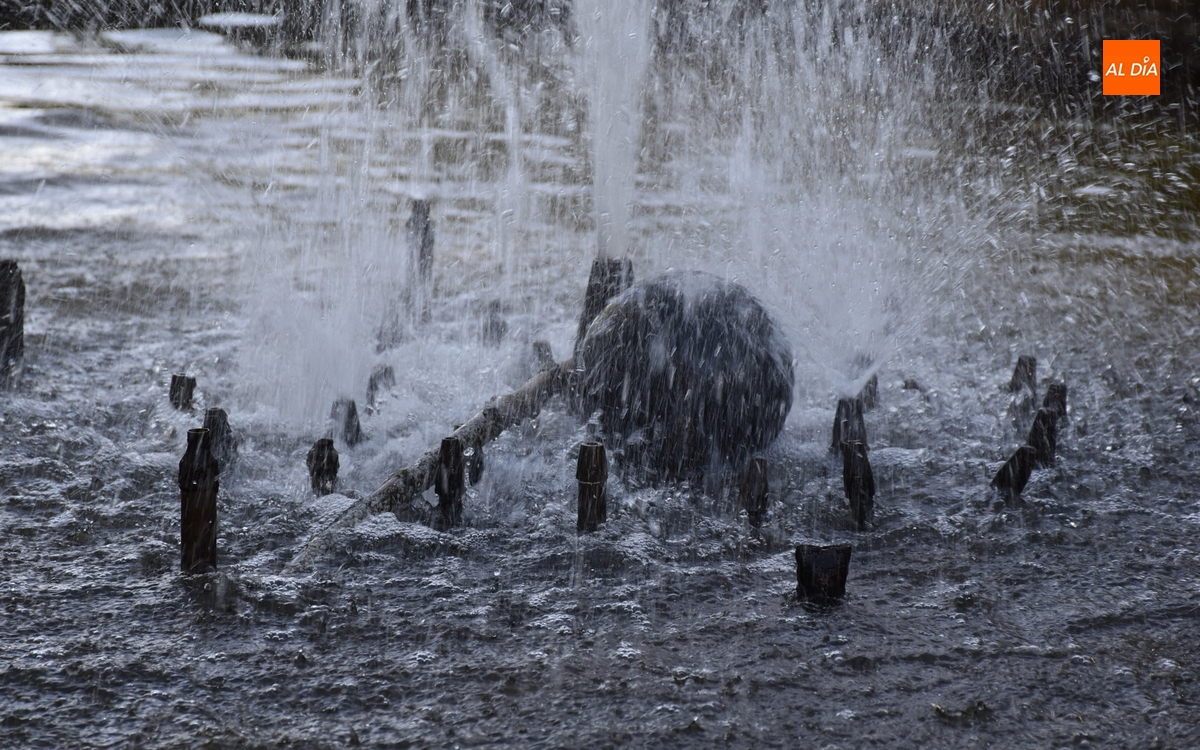 1Foto: A ver quién lo rescata