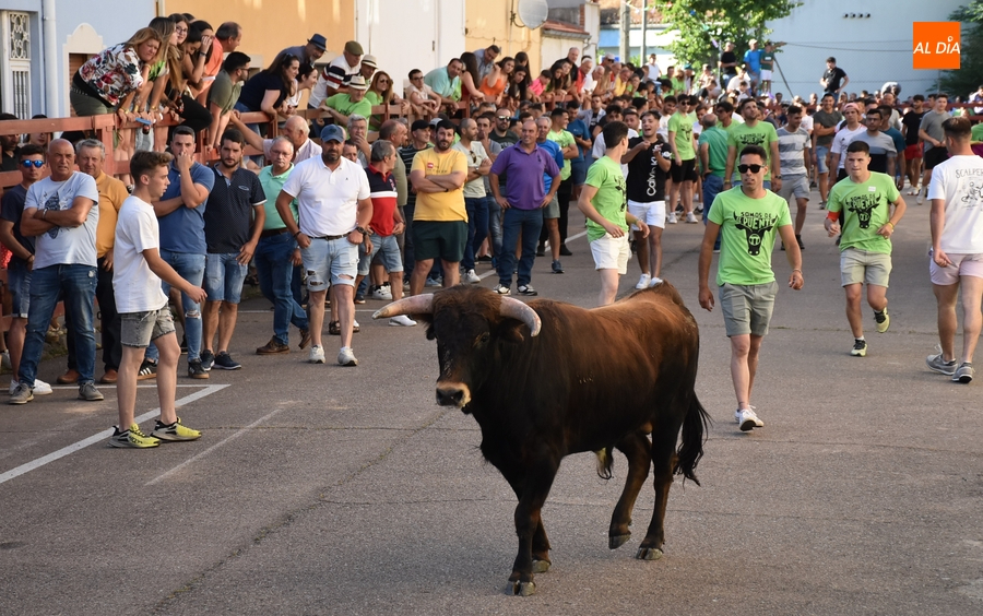 Concedidas subvenciones de entre 850€ y 1.360€ a 14 asociaciones de vecinos de Ciudad Rodrigo