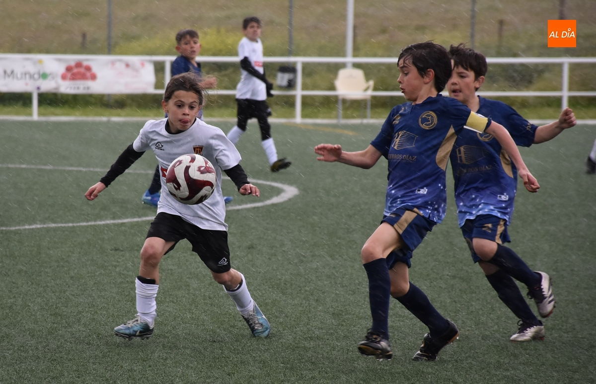 #M [3-4 MAY] El Benjamín A del Ciudad Rodrigo cae por la mínima en un vibrante duelo ante Unionistas