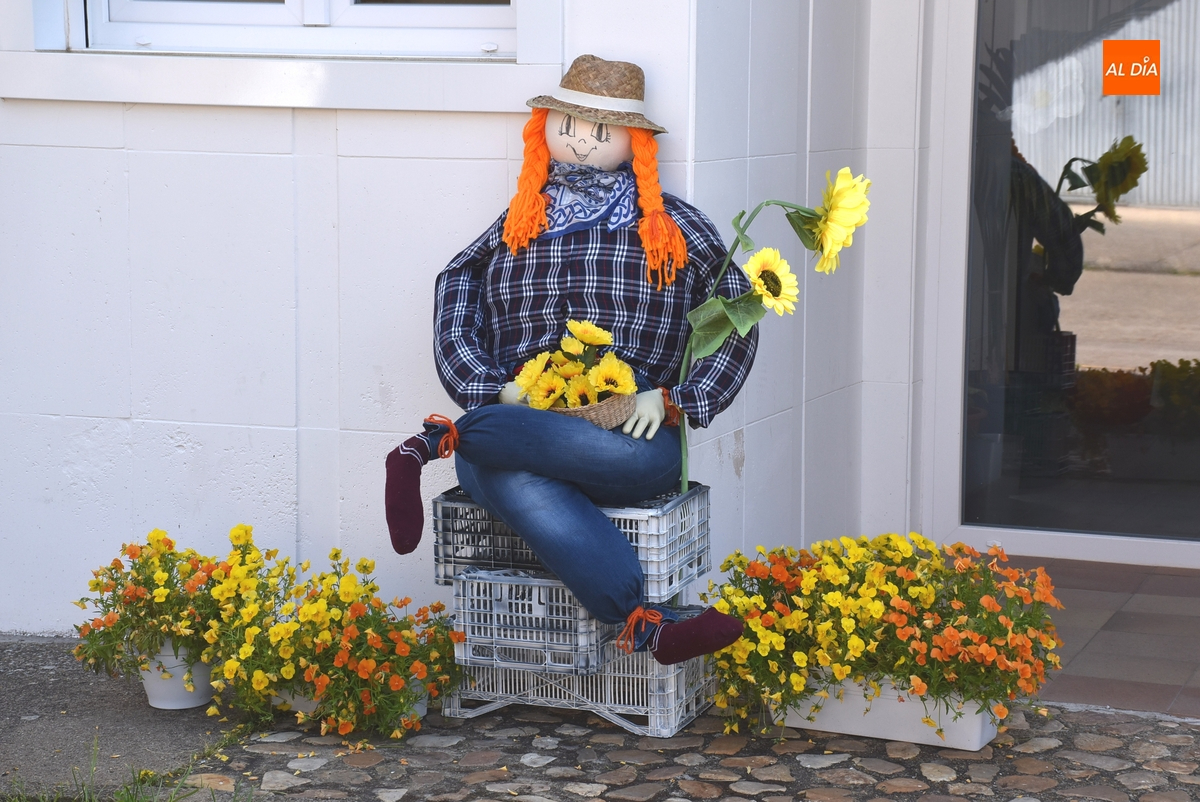 Así lucen los espantapájaros de la Avenida de Béjar, parte de Cárcabas y Asprodes