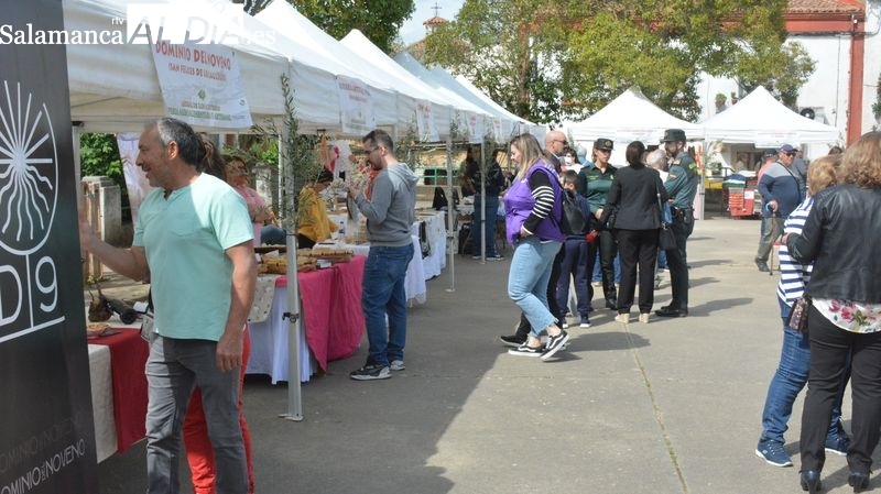 Ahigal de los Aceiteros se vuelca con su feria y una marcha solidaria contra el cáncer este sábado