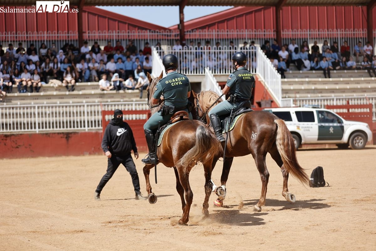 FOTOS y VÍDEO | Espectacular despliegue de medios de la Guardia Civil ante 2.000 escolares salmantinos 