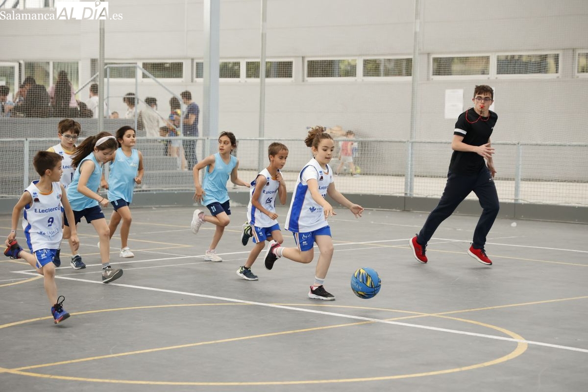 FOTOS | Máxima emoción en las finales prebenjamines de baloncesto y fútbol sala del Programa de Juegos Escolares