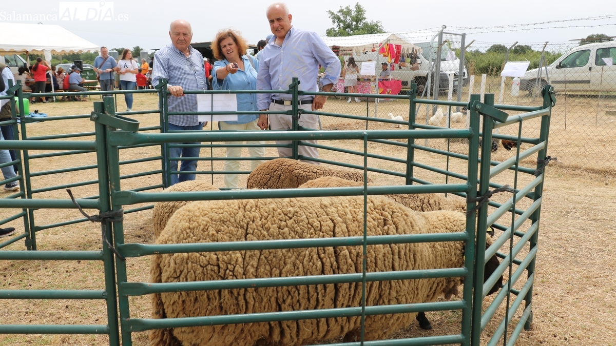 Bañobárez calienta motores para su Feria Ganadera del 7 de junio
