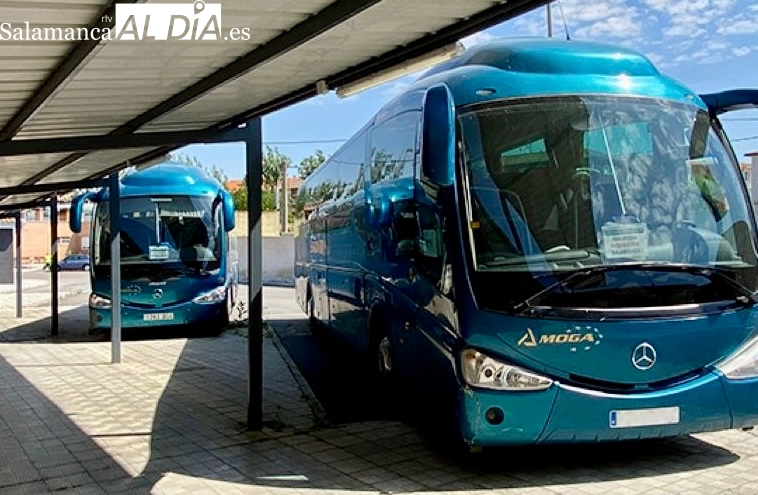 Estas son las líneas de Peñaranda y Las Villas incluídas en la tarjeta BUSCyL para viajar gratis en autobús
