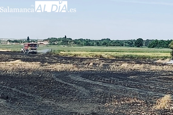 Bomberos y agricultores trabajan juntos para extinguir un incendio en Nava de Sotrobal