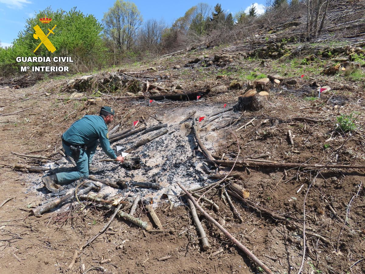 Investigado por un incendio forestal en Puerto de Béjar tras una presunta negligencia en una quema de rastrojos
