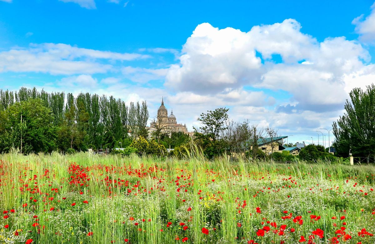 Construir el paisaje
