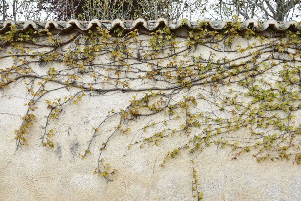 La niña de la fiesta, los niños de la guerra 