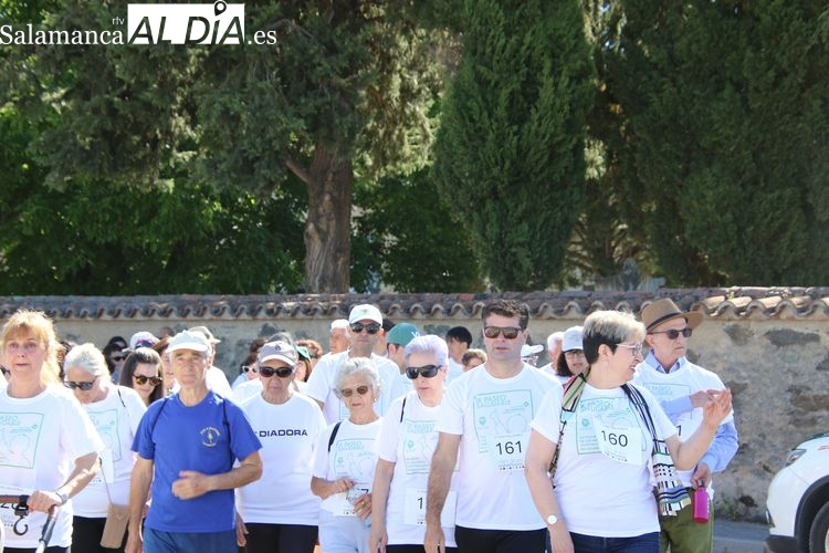 Décimo Paseo Saludable de San Jerónimo: Deporte y solidaridad en favor de Cáritas Salamanca