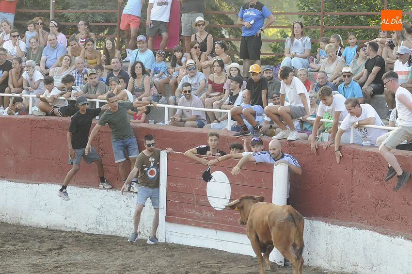 Navasfrías busca gestor para el Chiringuito de su Plaza de Toros