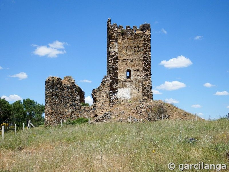 El castillo salmantino, construido por un señor feudal del siglo XV, a punto de derrumbarse por el abandono y el vandalismo