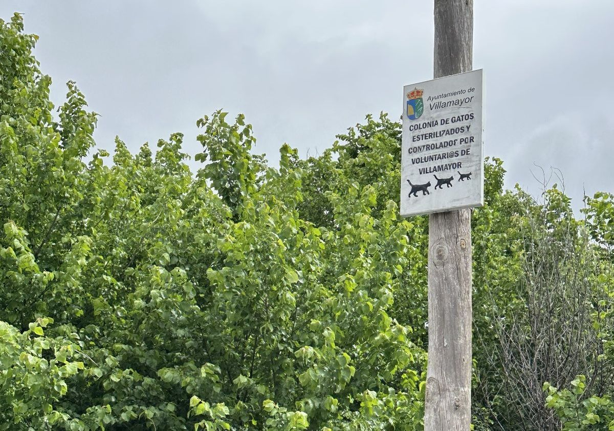El Ayuntamiento de Villamayor aprueba un Plan de Gestión Ética de Colonias Felinas