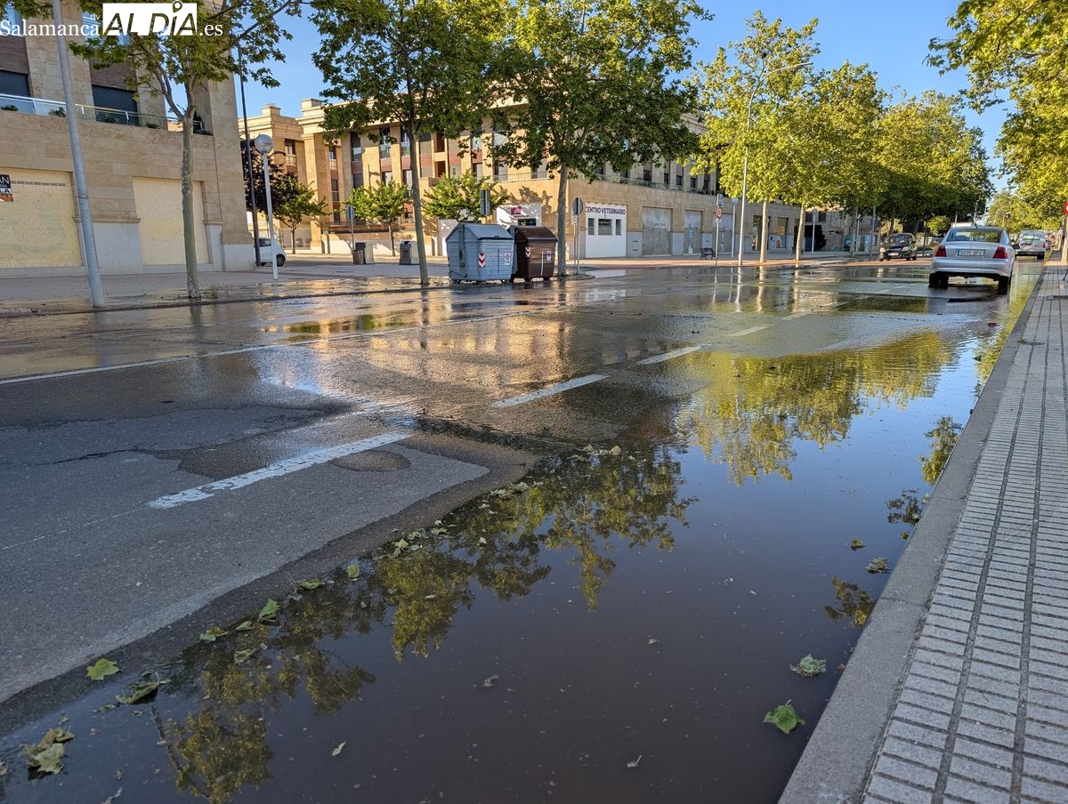 VÍDEO Y FOTOS | Nuevo reventón en Salamanca: el agua anega la avenida de San Agustín