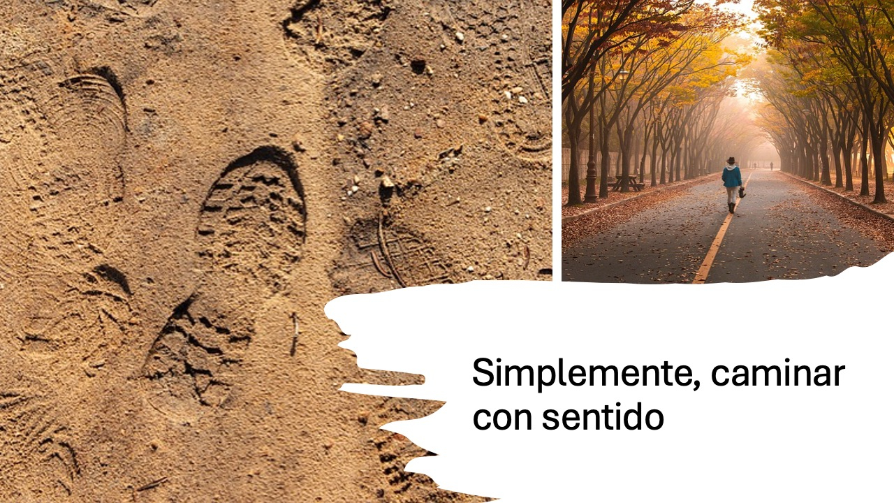 Caminar con sentido