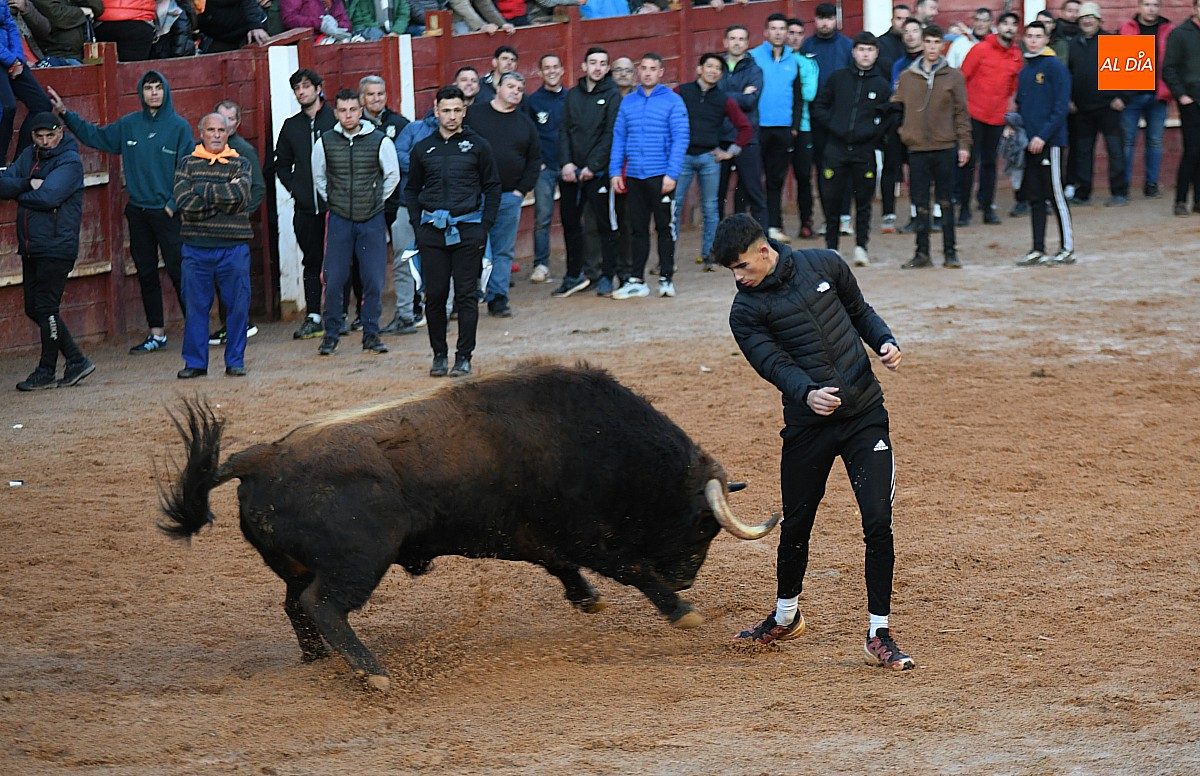 El Carnaval del Toro 2025 costó 463.644€ 