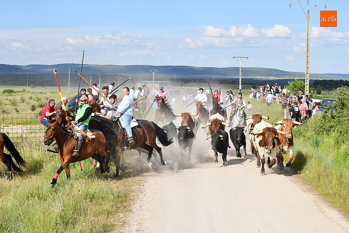 Degustación de huevos con farinato y concurrido encierro a caballo para cerrar San Isidro en Carpio de Azaba