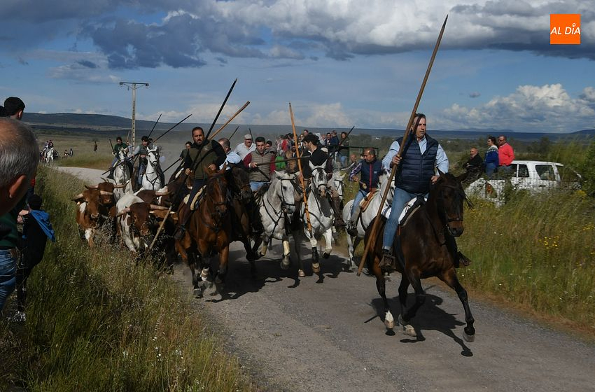 Carpio de Azaba se prepara para cuatro días de fervor y tradición en honor a San Isidro