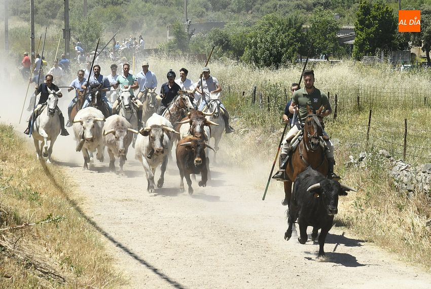 Martín de Yeltes desvela el programa de sus fiestas en honor a San Antonio