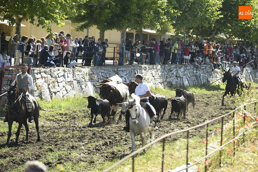 Sancti-Spíritus ya tiene programa para el Corpus, que incluye hasta vivir la Noche de San Juan