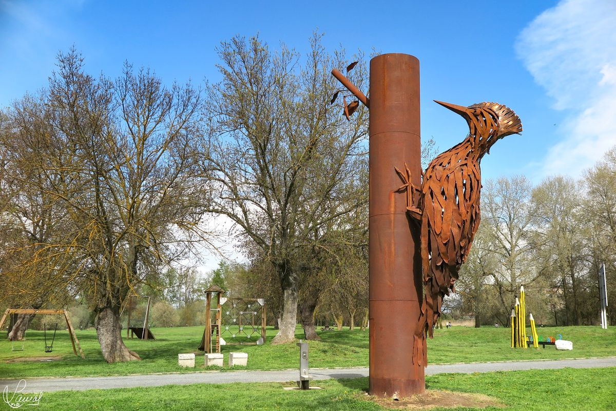 El pájaro y la amistad