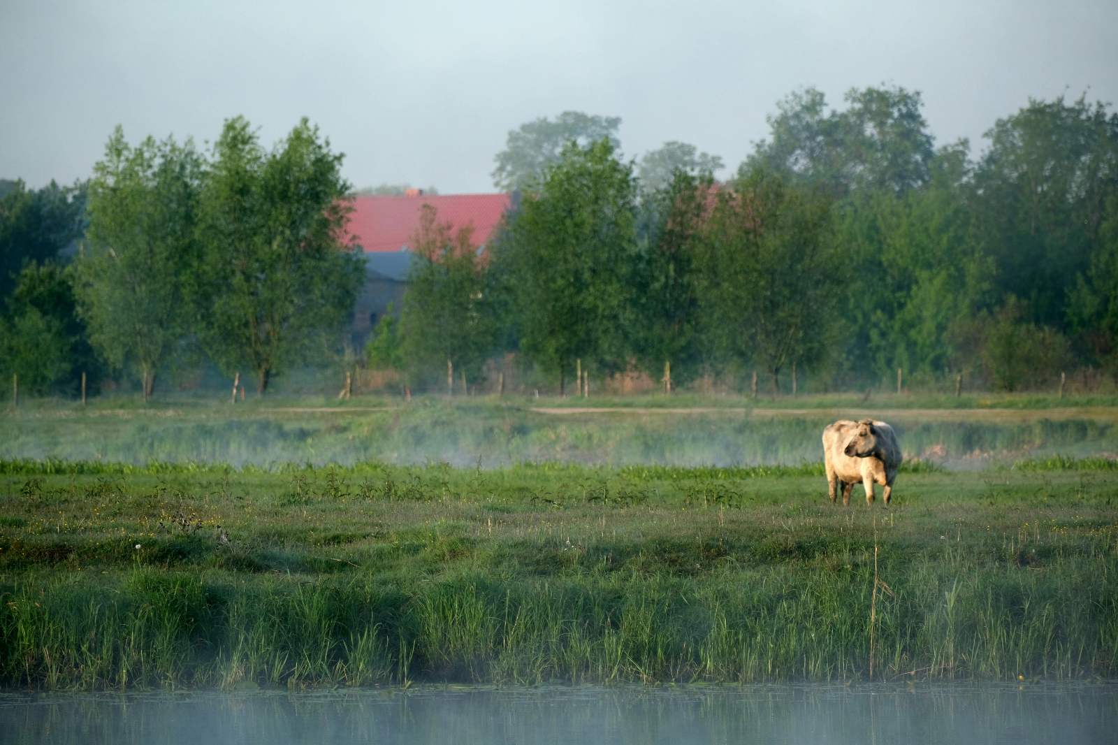 La Junta impulsa la recuperación ambiental en Salamanca con una inversión superior a los 817.000 euros